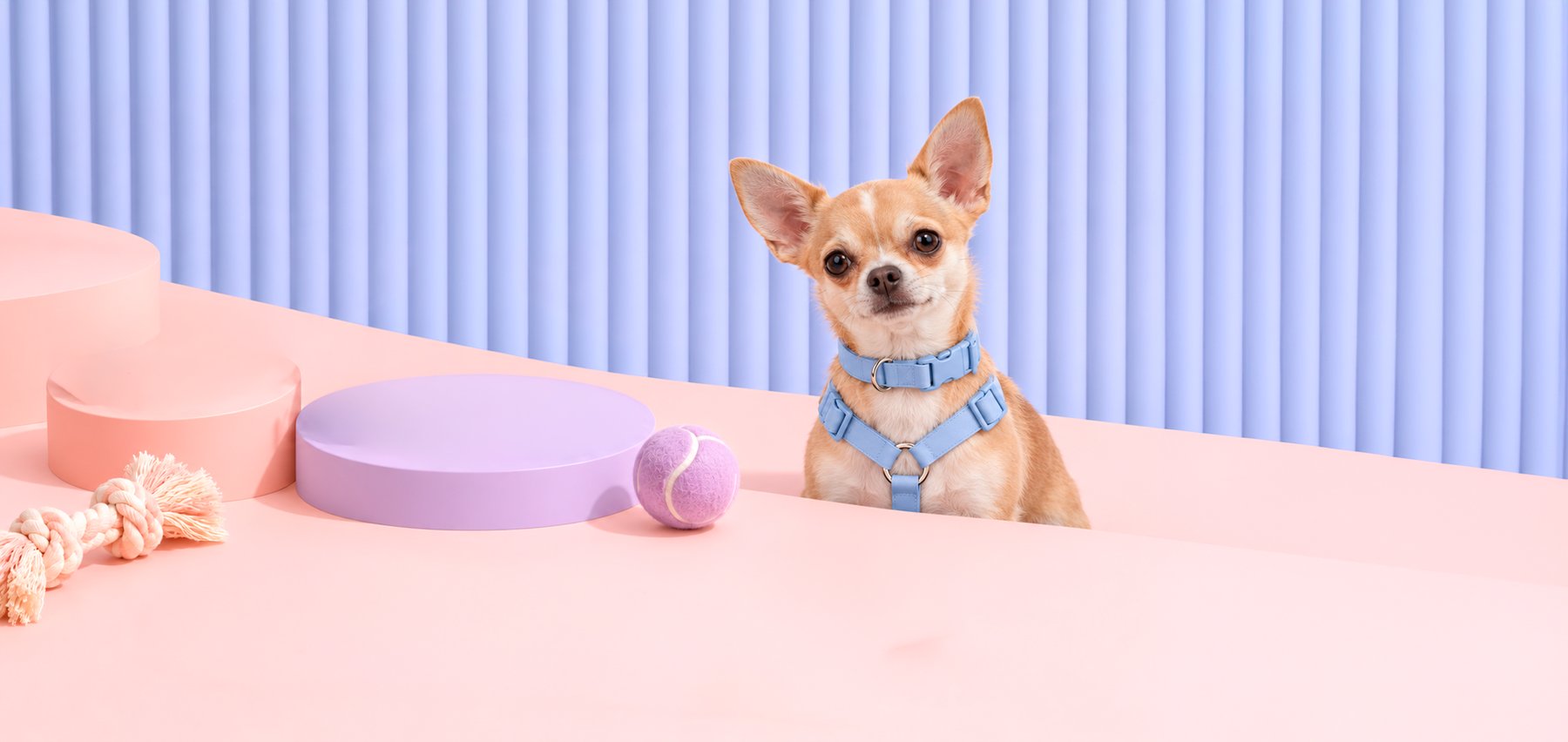Wuuff Puppy — perrihijo con accesorios de goma