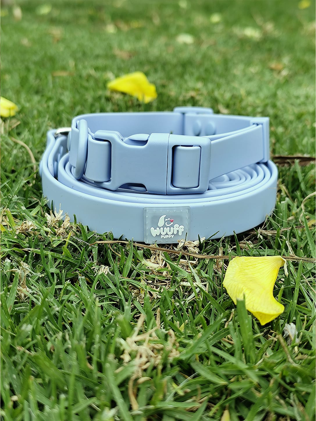 Collar y correa Wuuff Puppy sobre el pasto