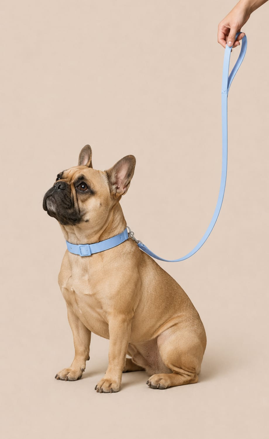 Bulldog francés con collar y correa Wuuff Puppy