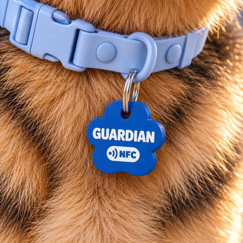 Primer plano de la placa de identificación para perro azul en forma de huella con el nombre Guardian